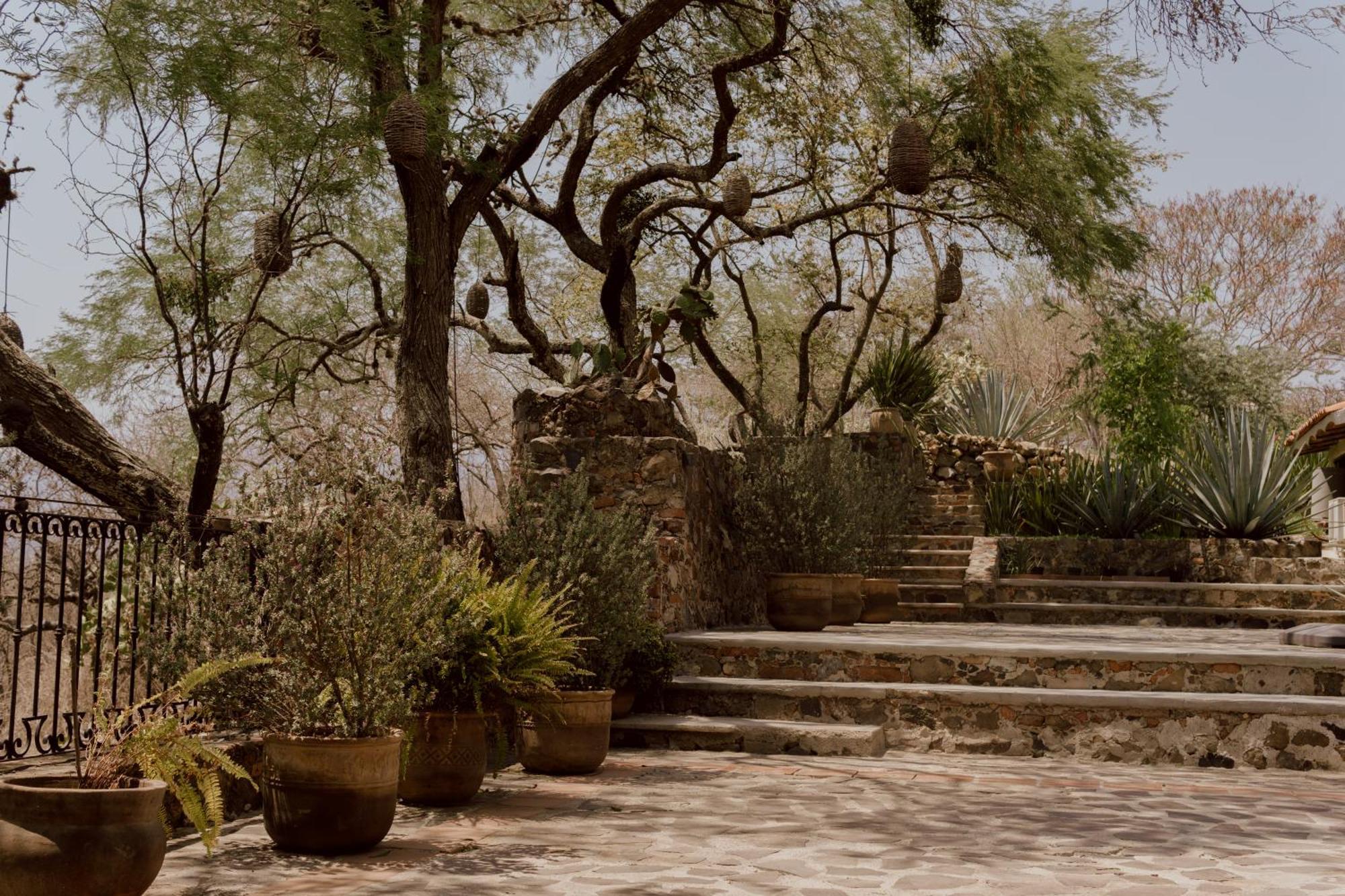 Hacienda San Nicolas De Las Fuentes Teuchitlan Luaran gambar