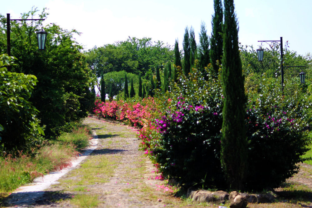 Hacienda San Nicolas De Las Fuentes Teuchitlan Luaran gambar