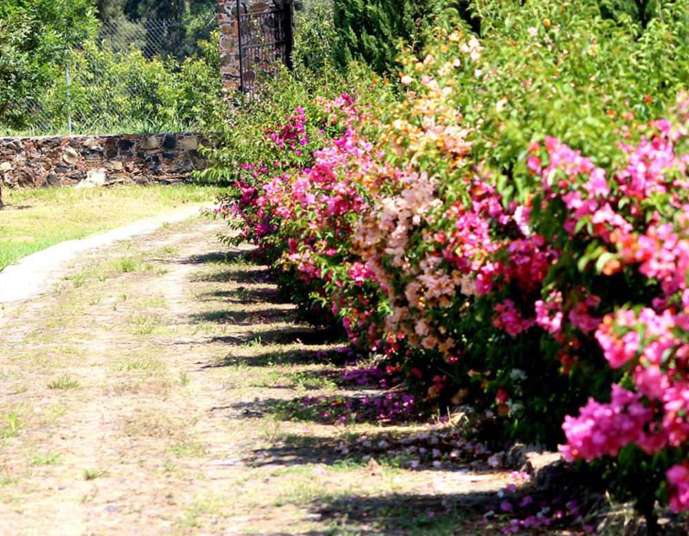 Hacienda San Nicolas De Las Fuentes Teuchitlan Luaran gambar